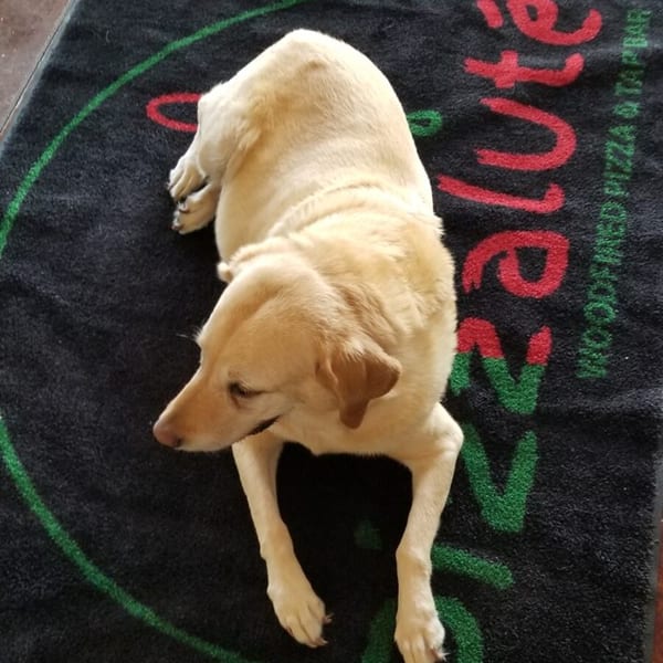 A golden retriever dog lies on a black Pizzaluté mat with red and green lettering.